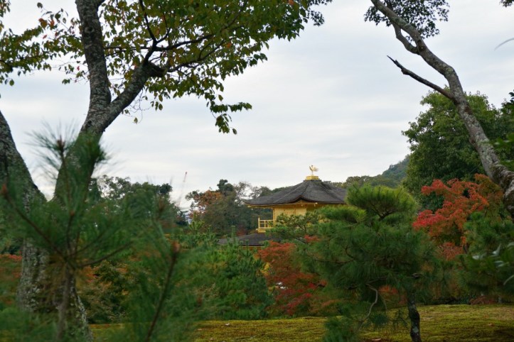 Golden Temple Kyoto-Jepang