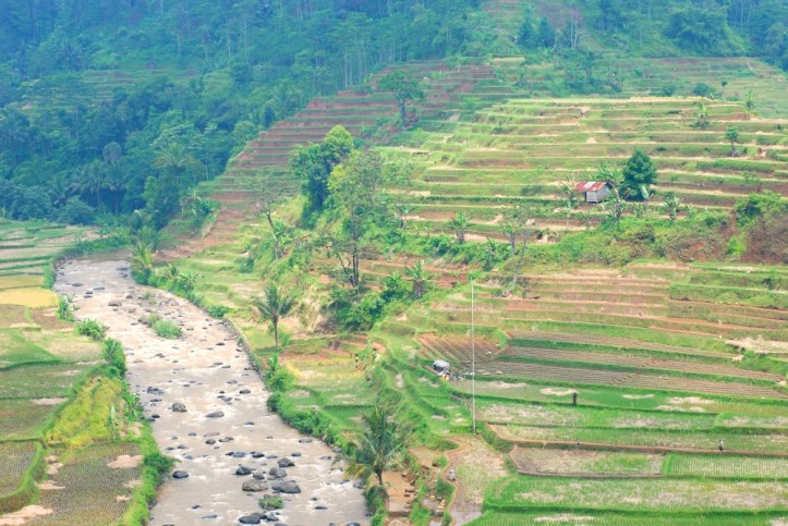 Kampung Naga Jawa Barat