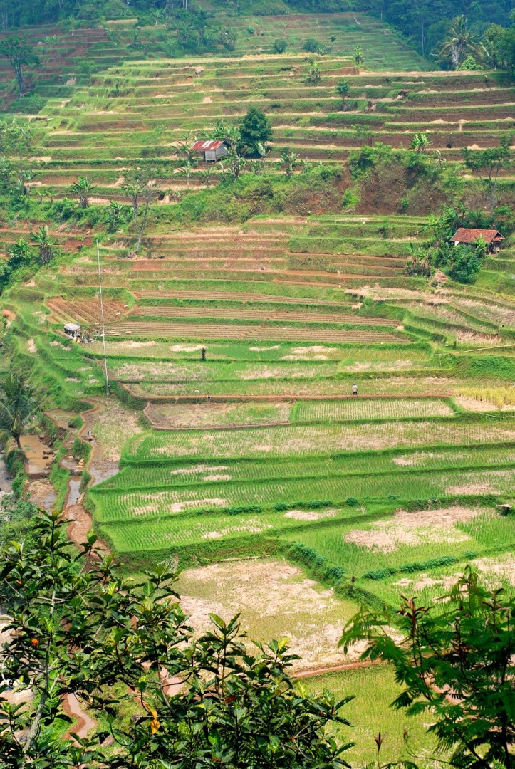 Kampung Naga Jawa Barat
