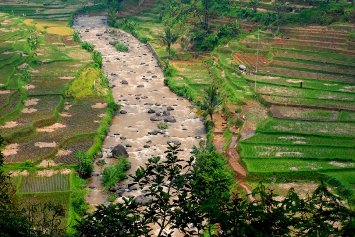 Kampung Naga Jawa Barat
