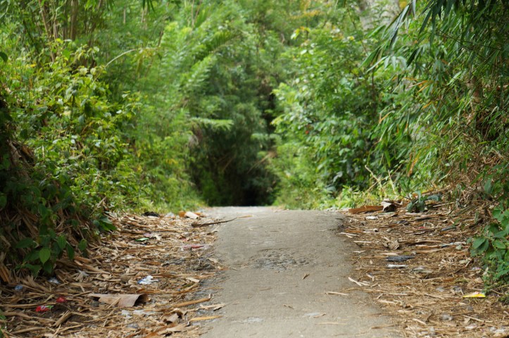 Pulau Samosir - Lake Toba