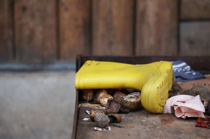 Pulau Samosir - Lake Toba