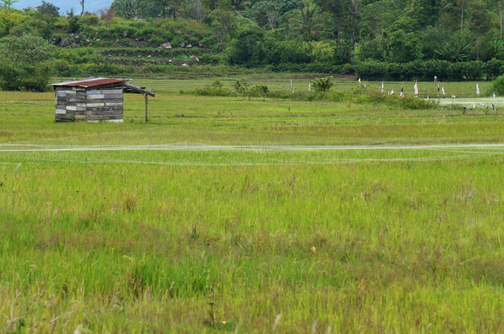 Pulau Samosir - Lake Toba