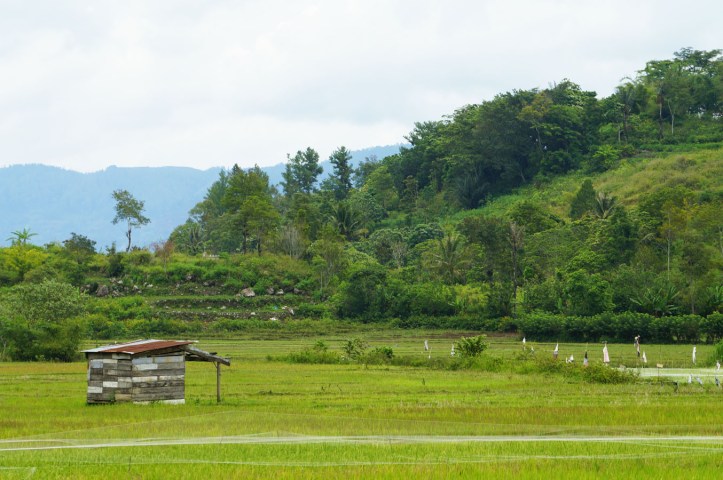 Pulau Samosir - Lake Toba