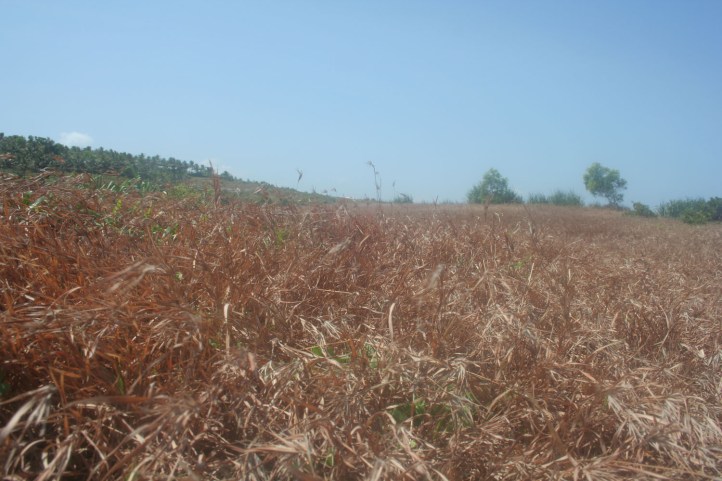 Pantai klayar Pacitan