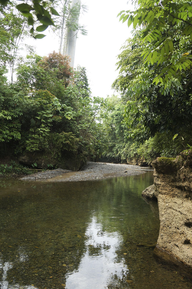 Sungai Landak - Bukit Lawang