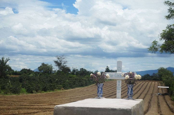 Kuburan di tengah ladang.