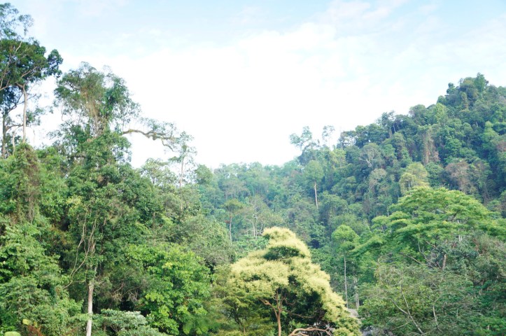 Sungai Landak - Bukit Lawang