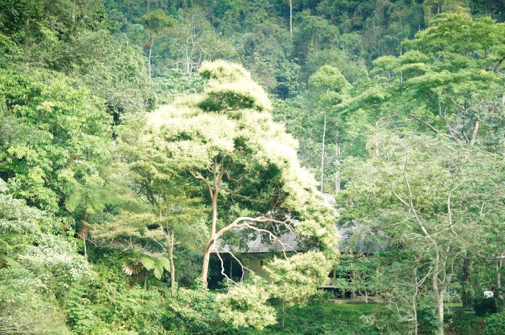 Sungai Landak - Bukit Lawang