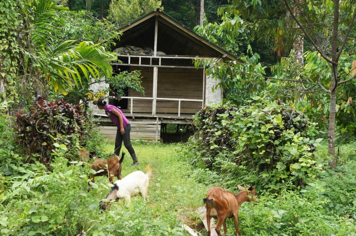 Beberapa rumah penduduk yang biasanya bekerja di kebun-kebun karet/sawit
