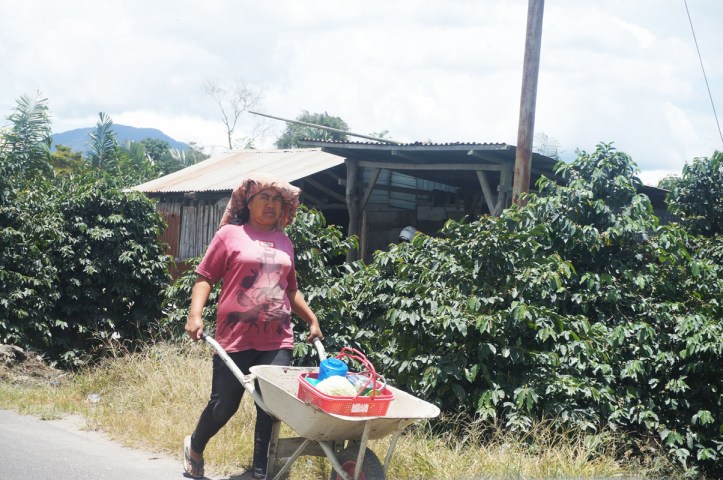 Seorang ibu yang baru pulang dari pasar