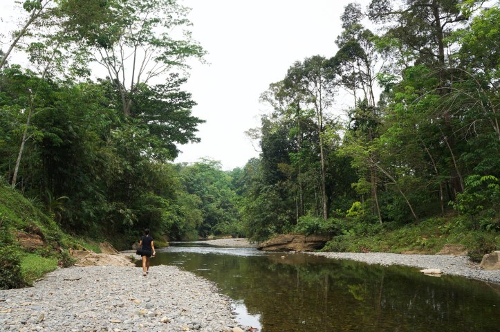 Sungai Landak - Bukit Lawang