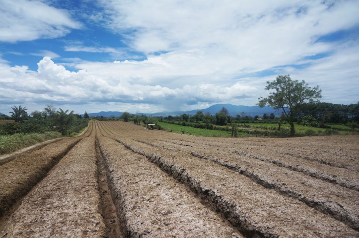Ladang yang siap di tanamin