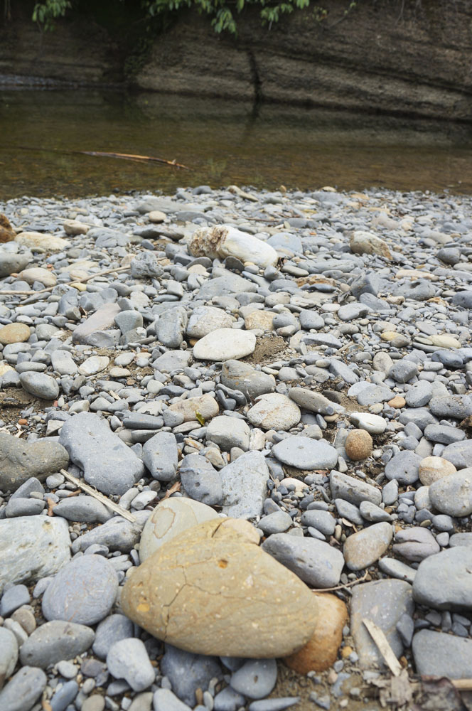 Sungai Landak - Bukit Lawang
