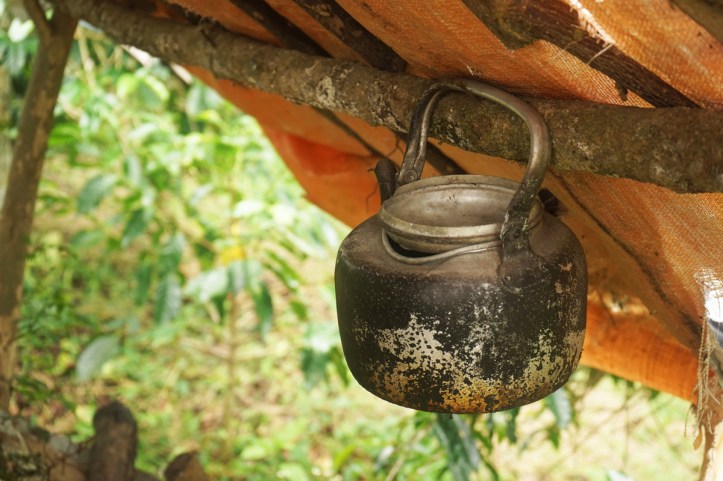 Coffee Tour Takengon Gayo - Aceh Tengah Ini pondok petani, biasanya di musim panen mereka akan tinggal di kebun dan masak kopi dengan ceret ini. Wanginya bisa memenuhi kebun kopi yang sejuk