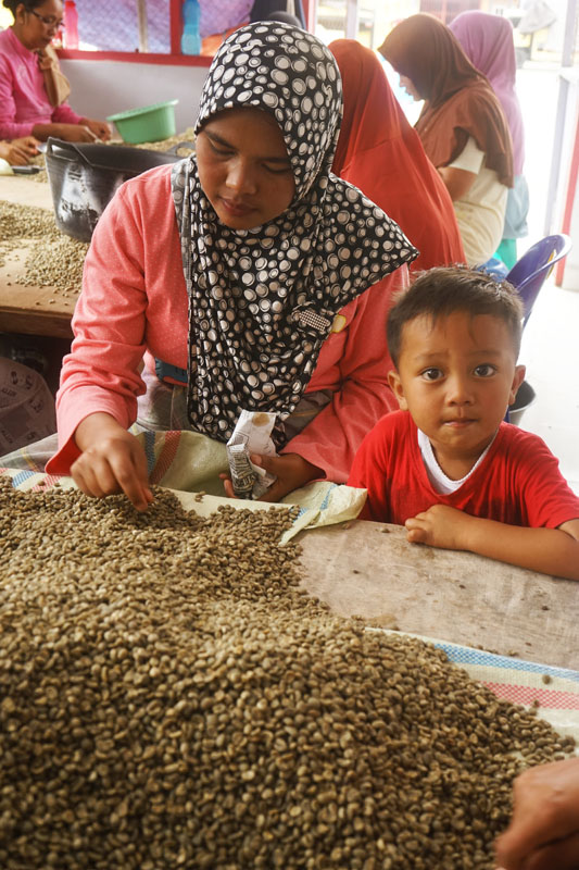 Coffee Tour Takengon Gayo - Aceh Tengah