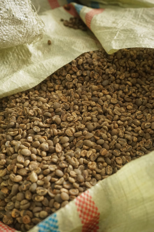 Coffee Tour Takengon Gayo - Aceh Tengah