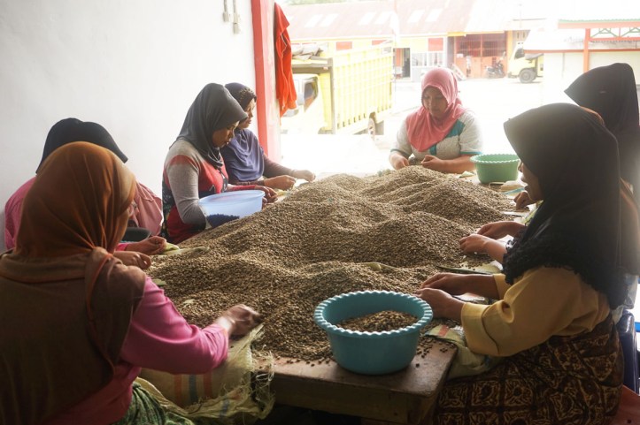 Coffee Tour Takengon Gayo - Aceh Tengah Ibu-ibu atau remaja biasanya bekerja berkelompok. Mereka ramah banget dan suka sekali bercerita. Bisa seharian deh :)
