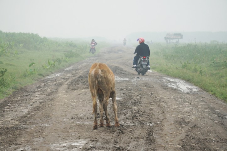Mereka juga ditengah jalan