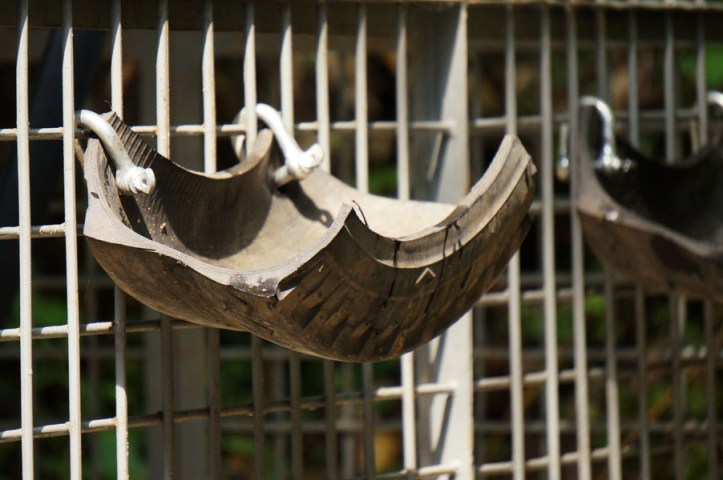 Tempat meletakkan makanan