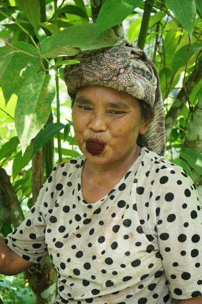 Ibu Pekerja dengan suntilnya