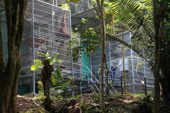 OU dan kandang2 mereka