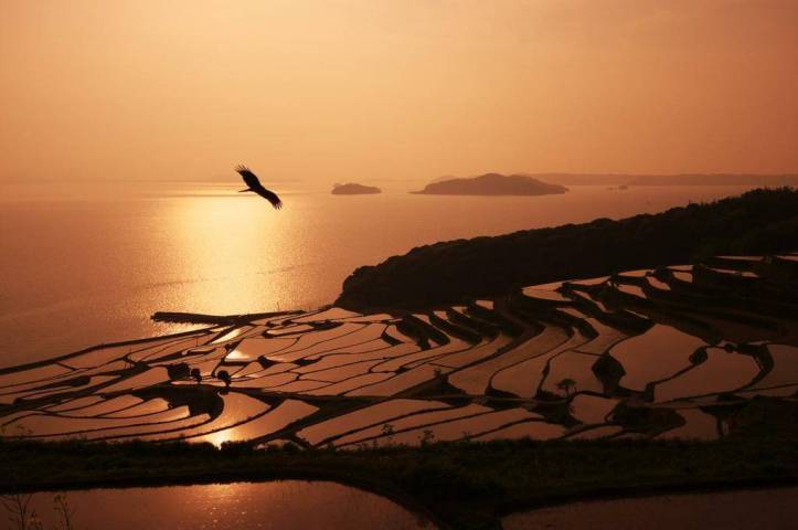 Ambil nafas.......... https://geolocation.ws/v/P/21470466/terrace-paddy-field-in-doya/en