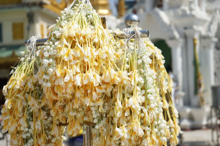 Pagoda Shwedagon Yangon Myanmar