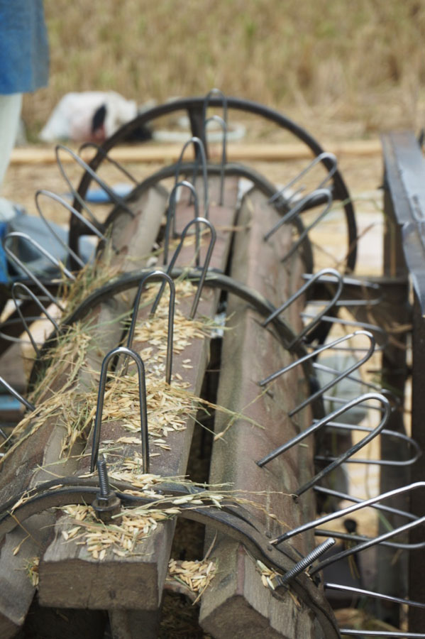 Alat untuk memisahkan padi dengan batangnya