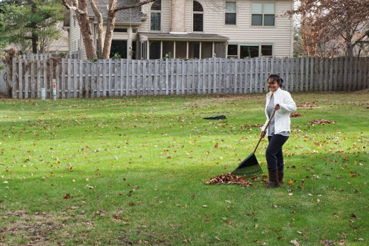 winter rasa fall di US tahun 2015