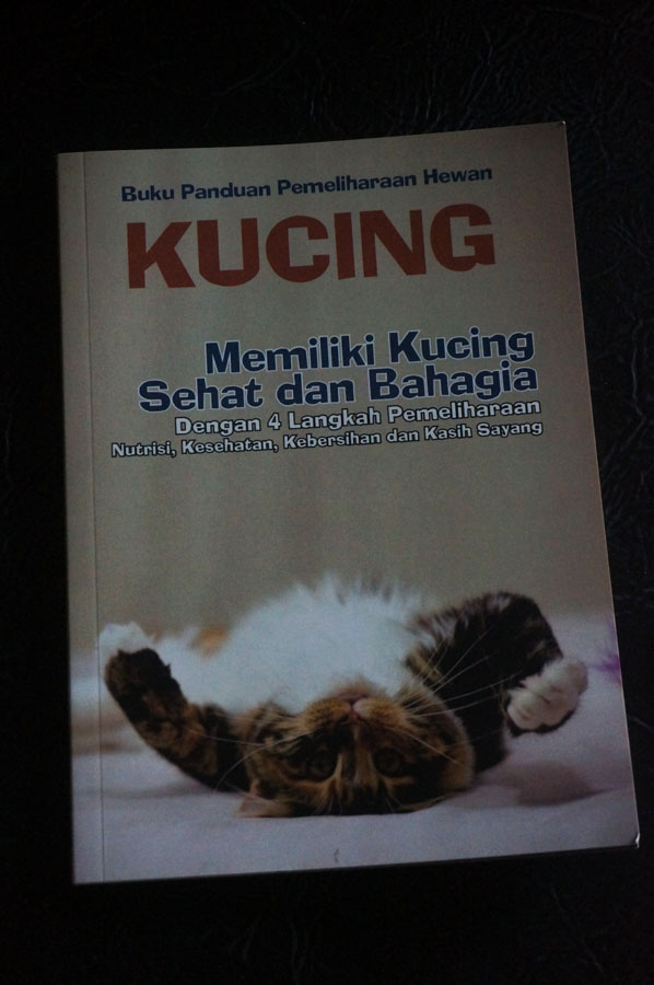 buku tentang kucing