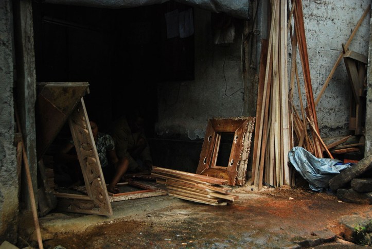 Burung Kokokan Ubud Bali