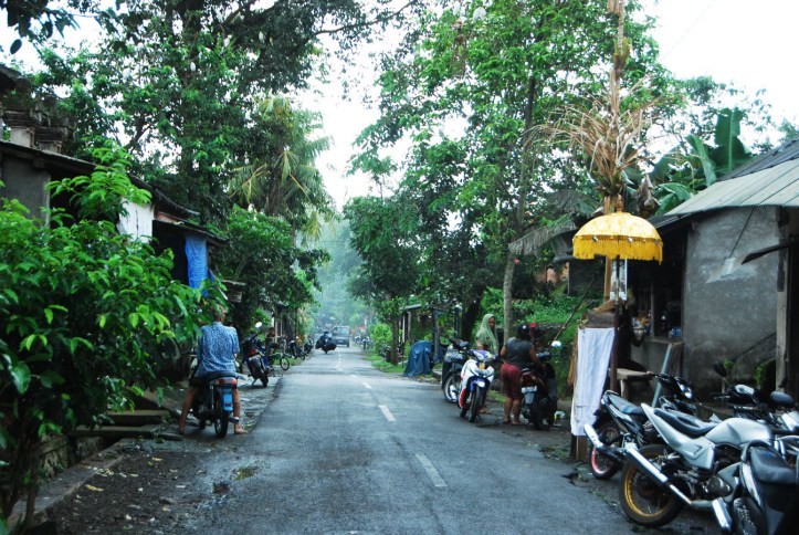 Burung Kokokan Ubud Bali Desa Petula
