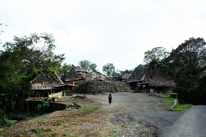 Kampung Bena NTT