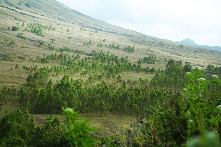 Kampung Bena NTT 3 - Gunung Inarie Flores