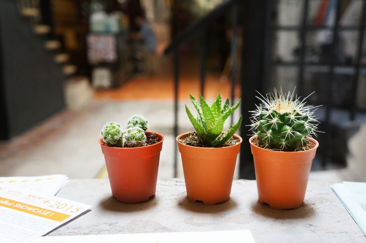 Museum kamera Penang