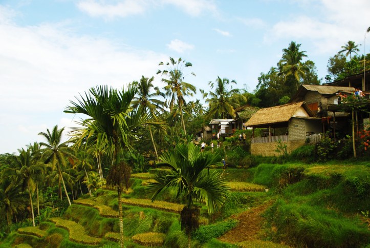 tegallalang Bali