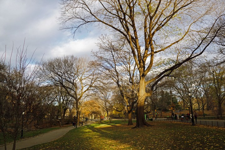 Central Park New York