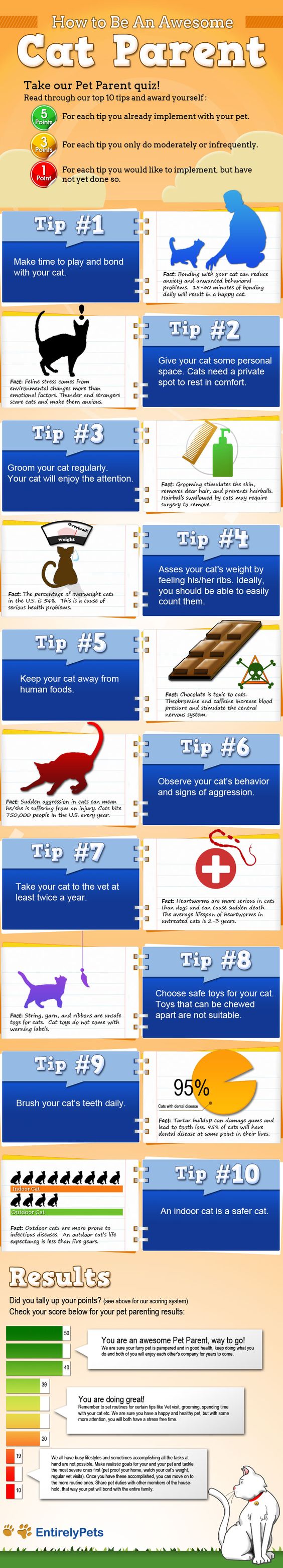 quickinfoplanet.blogspot.com 