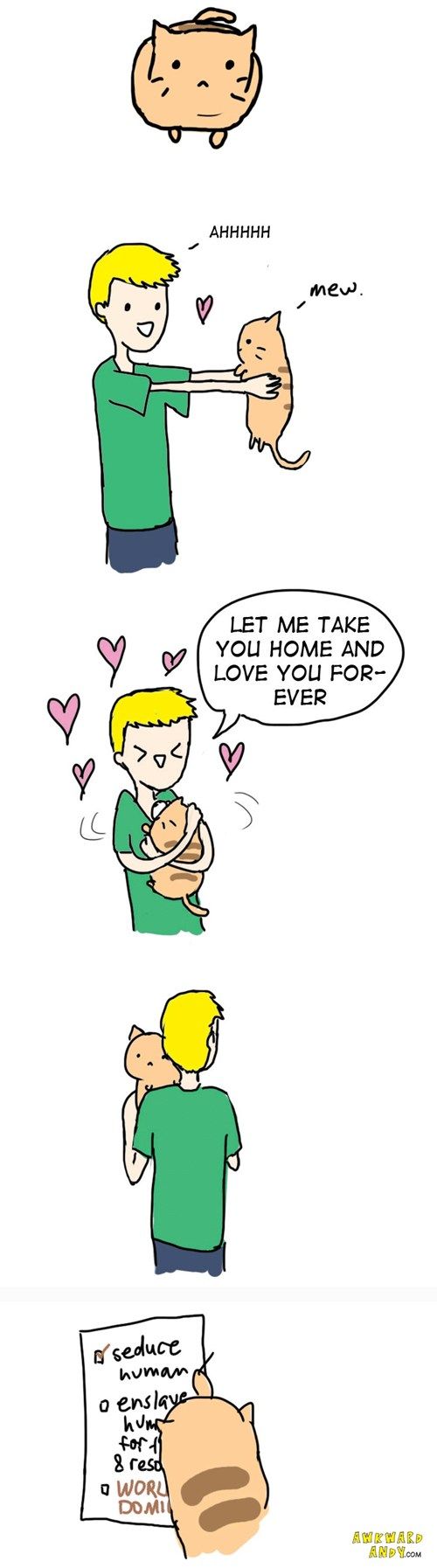 icanhas.cheezburger.com 