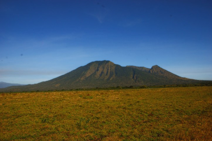 Taman Nasional Baluran Indonesia