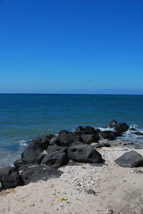 Taman Nasional Baluran Indonesia
