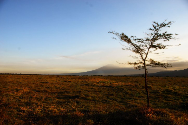 Taman Nasional Baluran Indonesia