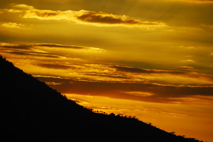 Taman Nasional Baluran Indonesia