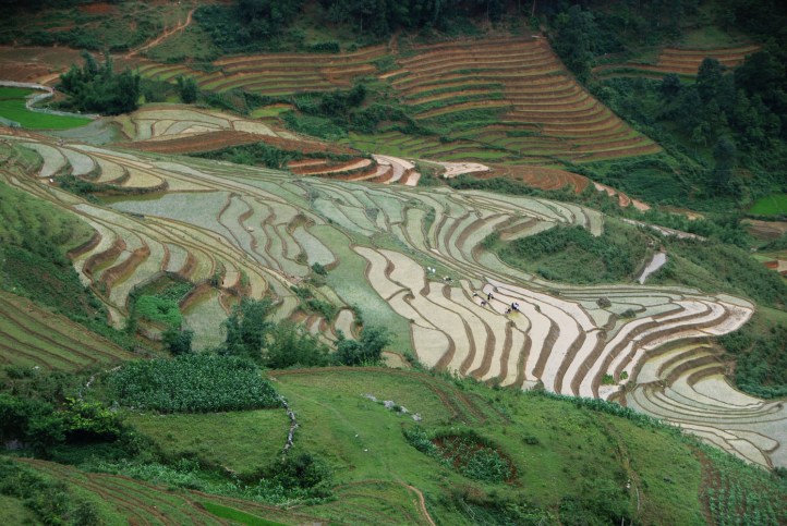 Perjalanan kerumah Tsu