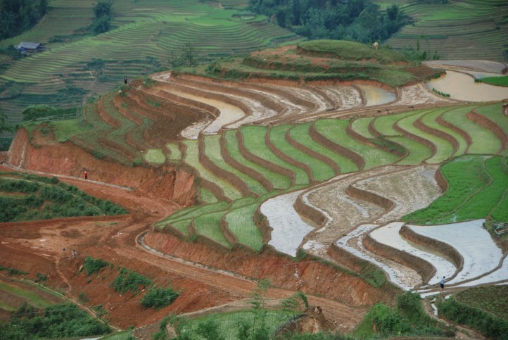 Perjalanan kerumah Tsu