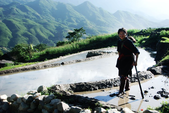Tetangga Tsu yang lagi ngerjain sawahnya