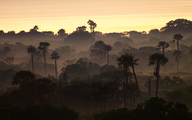 pic source : blog.travelio.com