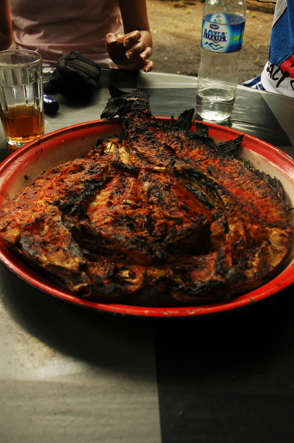 Sukamade Jawa Timur 23