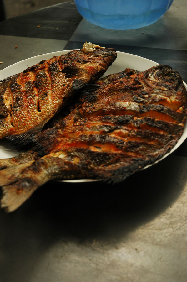 Sukamade Jawa Timur 24